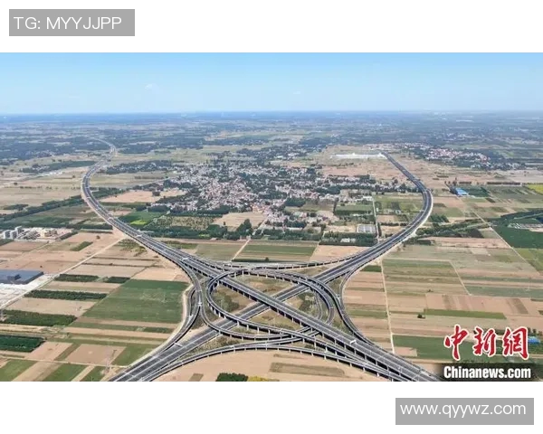 恩佐足球明星的崛起与成就揭秘以及对未来的展望